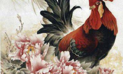 属鸡人2021年5月运势运程完整详解