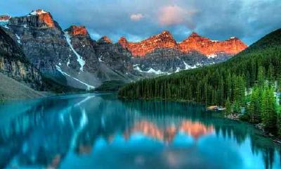 1993年出生属什么生肖 1993年是什么年