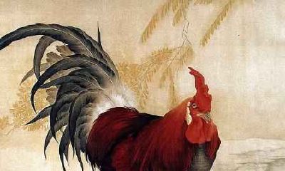 1981年属鸡2021年事业运势好不好