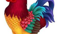 属鸡最不和的生肖 属鸡和什么属相不合