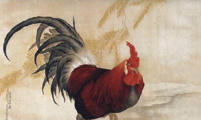 2017年的属鸡人2023年兔年整年每个月的运势解析