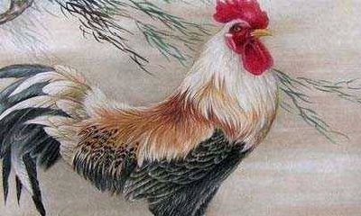 81年属鸡的男人2022年运势如何