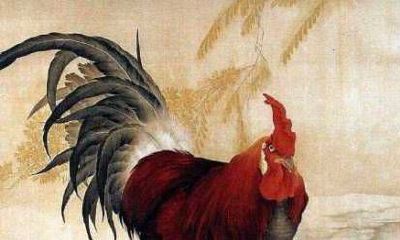 1993年属鸡的男人2022年运气怎么样