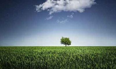 1980年属猴在2020年财运怎样