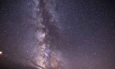 属猴人2020年三合太岁 感情桃花运势分析