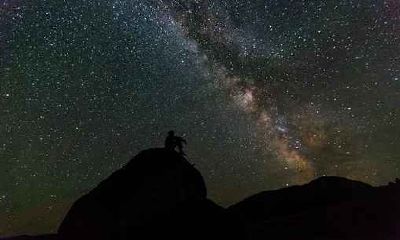 2028年出生属猴五行属什么,2028年属猴人是什么命