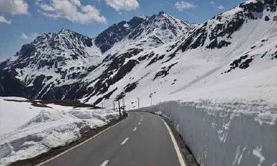 1980年9月属猴人婚姻运势好吗 属猴的属相婚配表大全