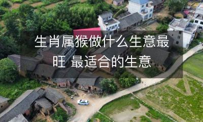 生肖属猴做什么生意最旺 最适合的生意