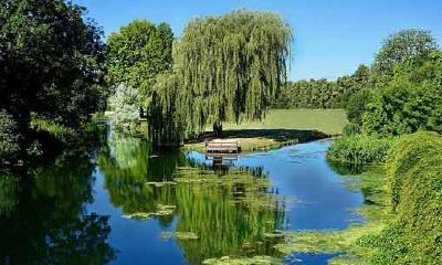 属猴人2020年11月运势运程 属猴人2020年11月运势好不好