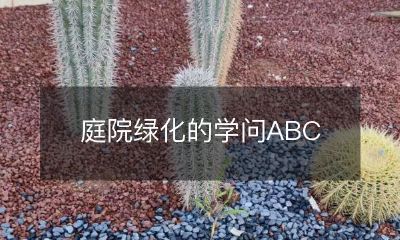 庭院绿化的学问ABC