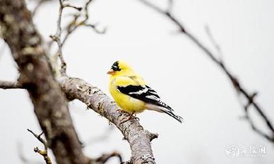 2023年4月15日和16日适不适合相亲