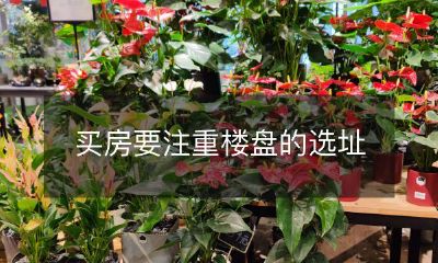 买房要注重楼盘的选址