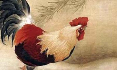 什么生肖最旺鸡 旺属鸡的是什么生肖