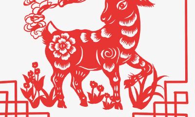 1991年的属羊人会有二婚运势吗 属羊人适合与什么生肖结婚