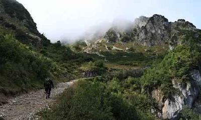 2020年属羊害太岁怎么化解 影响哪方面运势