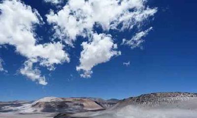 属羊人2021年桃花运怎样