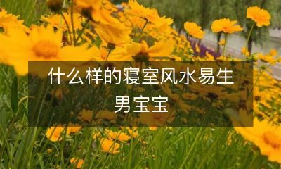 什么样的寝室风水易生男宝宝