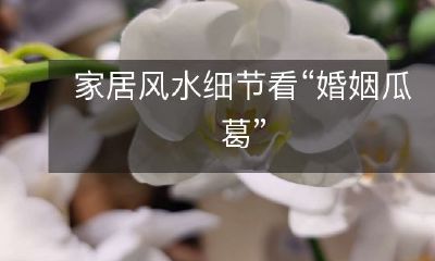 家居风水细节看“婚姻瓜葛”