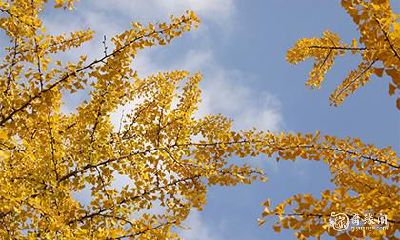 高考穿什么颜色衣服 什么颜色衣服寓意好