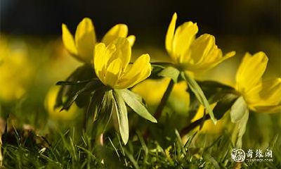 高考穿什么颜色的衣服 高考穿衣服注意事项