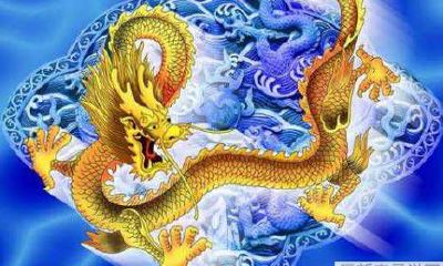 属龙人2022年10月贵人是谁 是什么生肖