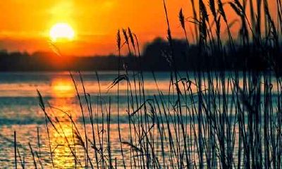 丙辰龙年是哪几年 丙辰龙出生的人是什么命