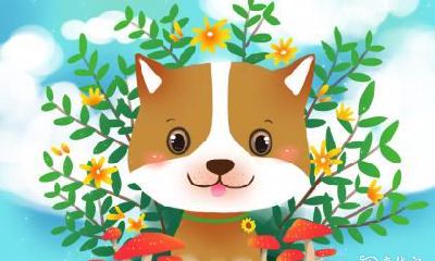 属狗2023.3.30运势 向好的学习