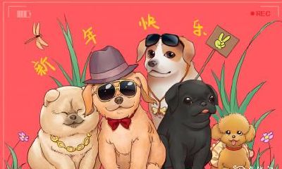 属狗2023.3.20运势 利落