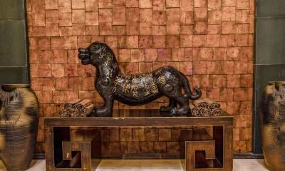 小猫自己找上门预示什么 猫上门风水