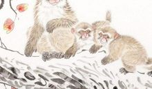 不做丈夫“拖油瓶”的3生肖女，婚后比老公还会赚钱，半点不拖累