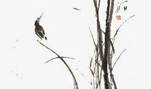 2020年2月3号出生的女孩是什么命，起什么名字有福气