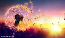 鸿运当头的5大生肖，3月起幸福美满，富贵安康，吉星高照