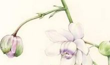 八字取名：2020年11月5号出生的女孩取名方法介绍