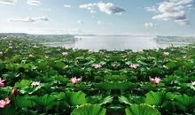 最有野性的3个星座，桀骜不驯，难以征服