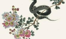 这三个生肖未来十天，苦尽甘来，咸鱼翻身变富豪！