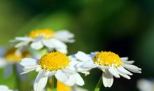 11月底，好运接踵而至，惊喜不断，幸福满面的3大生肖！