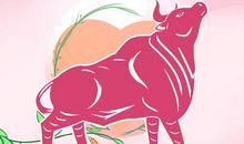 忠诚又疼人！最值得托付一生的三大生肖男，遇到这三位就嫁了吧