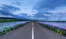 10天内贵人扶持，大有福报，红票子成倍涨，和幸福有缘的生肖