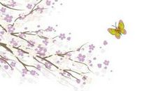 2020年农历三月初七出生的男孩命运好吗，怎么八字取名字