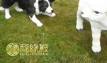 属羊与属狗的婚姻如何