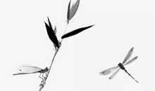 2020年农历三月十二出生的男孩命运解析，怎么起名字好