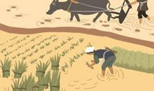 泰山石如何摆放会有镇宅的风水作用