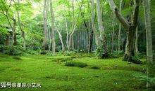 4月吉星保佑的5生肖，财路广进，五福临门，家大业大