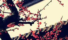 农历2020年腊月十二月二十二立春出生的女宝宝取什么名字好，宜用什么字