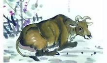 最孝顺的三大生肖，财运福报少不了！