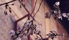 农历2020年腊月十二月二十三小年出生的女宝宝取什么名字好听又高分