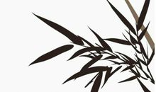 2020年农历三月十六出生的男孩命运解析，怎么八字取名