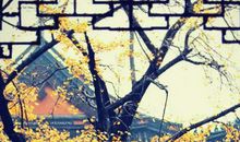 农历2020年腊月十二月二十四出生的女宝宝结合古诗词取名字