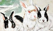 2020年属兔生肖刑太岁，刑太岁是什么意思