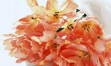 在6月份，未雨绸缪，胸有成竹，得偿所愿的三大星座